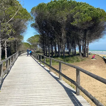 Cozy Flat With Amazing Seaview In Apartment Bibione